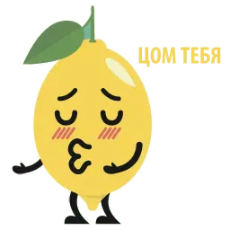 Mr Lemon sticker 10