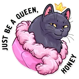 Salem sticker 12