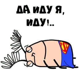 Mr ZOUK sticker 7
