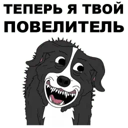 Мистер Пиклз sticker 4
