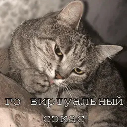 Мурлыки Telegram sticker pack