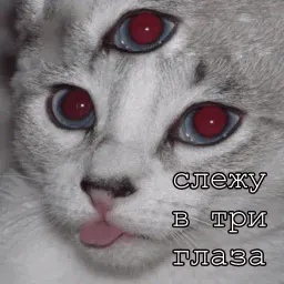 Мурлыки sticker 11
