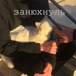 Мурлыки sticker 3