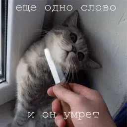 Мурлыки sticker 4
