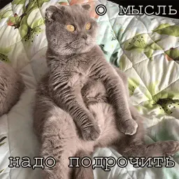 Мурлыки sticker 8