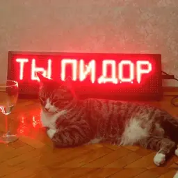 Мурлыки sticker 10