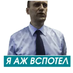 Навальный sticker 10