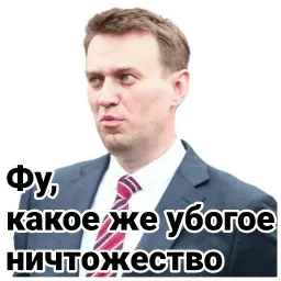 Навальный sticker 12