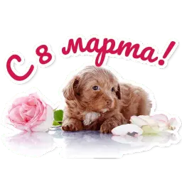 Милые питомцы Telegram sticker pack