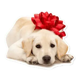 Милые питомцы sticker 11
