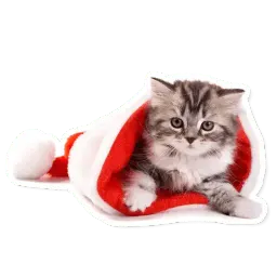 Милые питомцы sticker 12