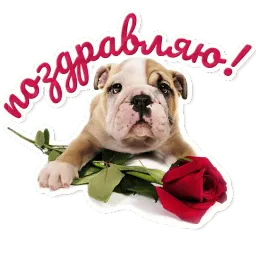 Милые питомцы sticker 3