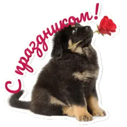 Милые питомцы sticker 4