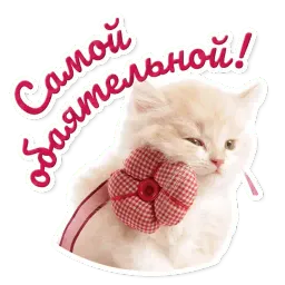 Милые питомцы sticker 5