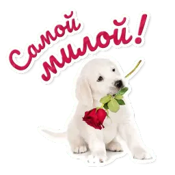 Милые питомцы sticker 6