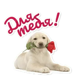 Милые питомцы sticker 7