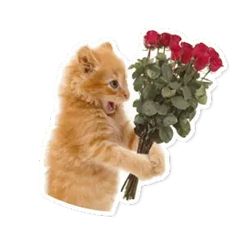 Милые питомцы sticker 9