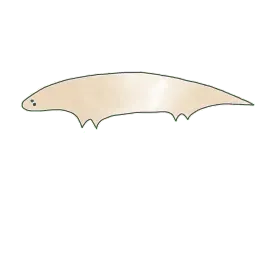 Animals sticker 11