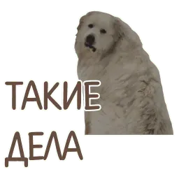 Отбитые sticker 11