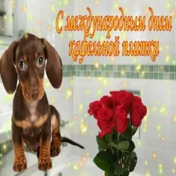 Открытки из WhatsApp Telegram sticker pack