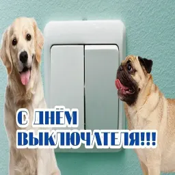 Открытки из WhatsApp sticker 12