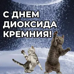 Открытки из WhatsApp sticker 6