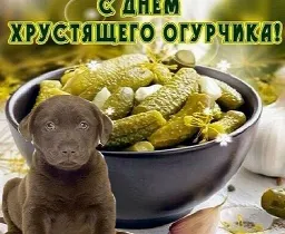 Открытки из WhatsApp sticker 7