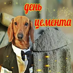 Открытки из WhatsApp sticker 8