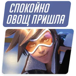 Overwatch Memes sticker 4