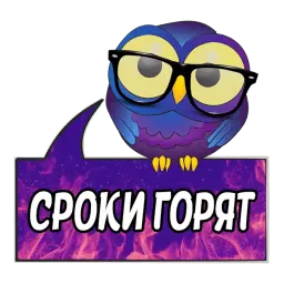 Сова Менеджер @TuristasTV sticker 2