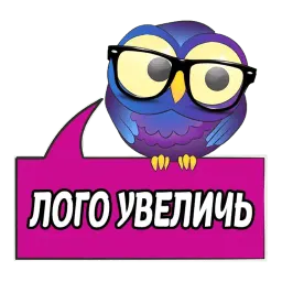 Сова Менеджер @TuristasTV sticker 5