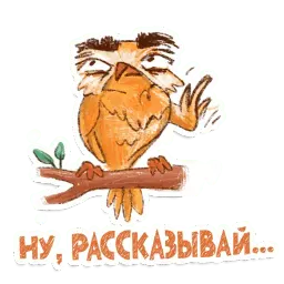 Сова Telegram sticker pack