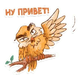 Сова sticker 10