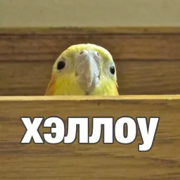 Попуги sticker 2