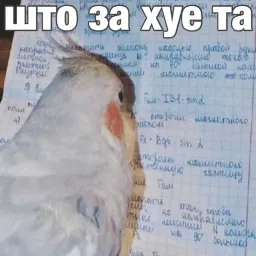 Попуги sticker 11