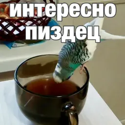 Попуги sticker 12