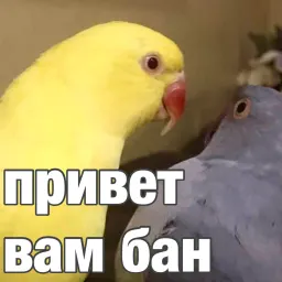 Попуги sticker 3