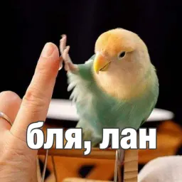 Попуги sticker 8