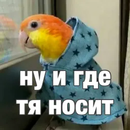 Попуги sticker 9