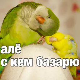 Попуги sticker 10