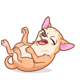 Чихуахуа Telegram sticker pack