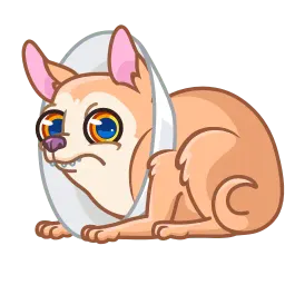 Чихуахуа sticker 4