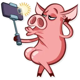Pete The Pig sticker 6