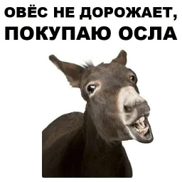 Бензин sticker 11
