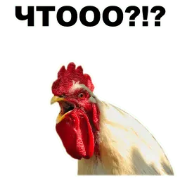 Петушары sticker 11