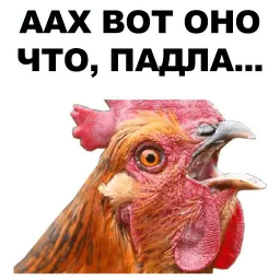 Петушары sticker 12