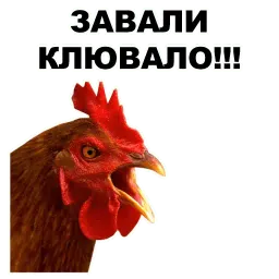 Петушары sticker 4