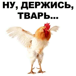 Петушары sticker 6