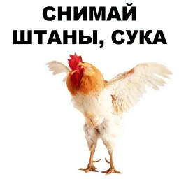 Петушары sticker 7