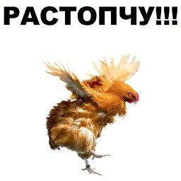 Петушары sticker 8
